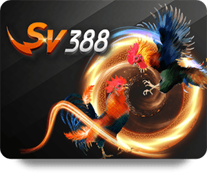 Experience the Thrill of Live Slot Online Action